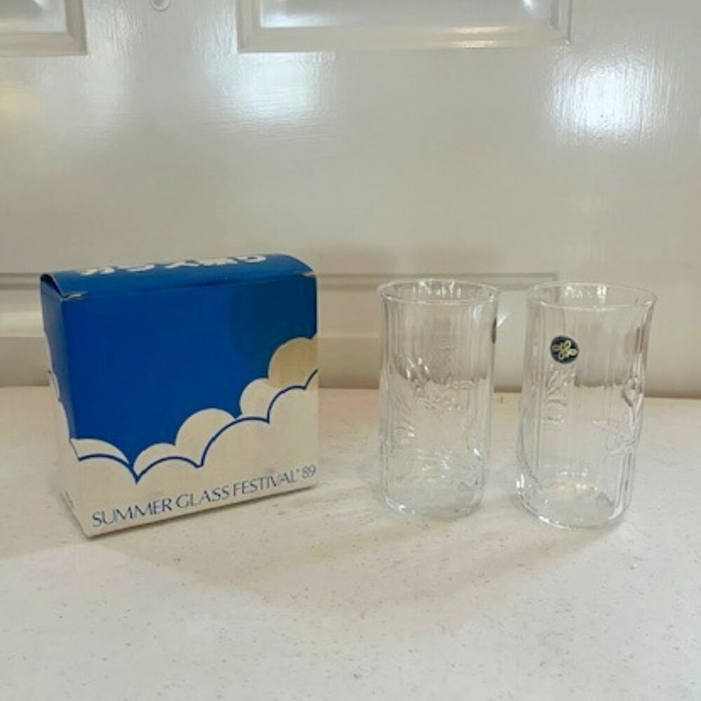Hoya Summer Glass Festival 2 Glass Set (1989 Japan)